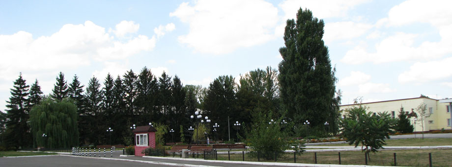 Школа – в центрі села