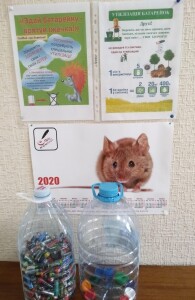 EmbeddedImage