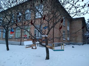 IMG_20210210_165546