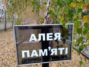 Слайд10