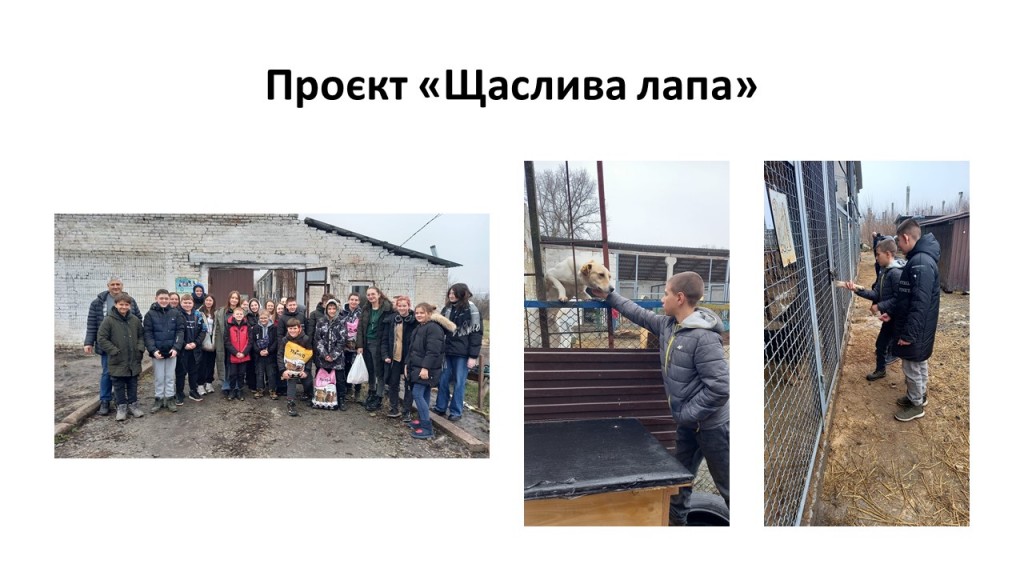 Слайд21